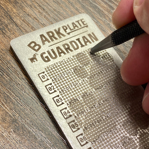 Zerpaay BARKPLATE GUARDIAN | Asset Recovery Key Plate