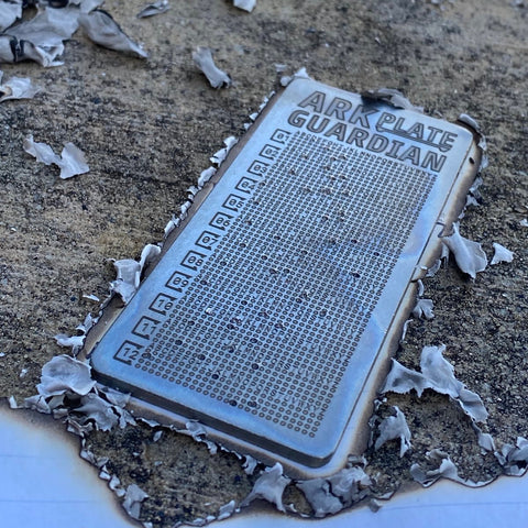 ARK Plate GUARDIAN | Asset Recovery Key Plate